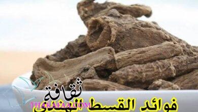 فوائد القسط الهندي ريق النحل للنساء فوائد القسط الهندي ريق النحل للنساء