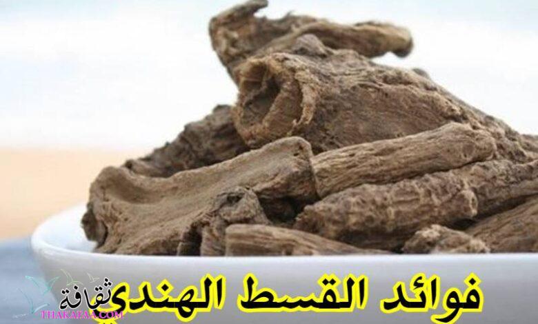 فوائد القسط الهندي ريق النحل للنساء فوائد القسط الهندي ريق النحل للنساء