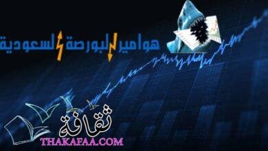 من هم هوامير البورصة السعودية؟ من هم هوامير البورصة السعودية؟