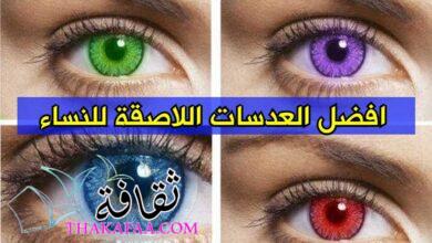 افضل العدسات اللاصقة للنساء وطريقة شراؤها اونلاين من متجر نايس ون افضل العدسات اللاصقة للنساء وطريقة شراؤها اونلاين من متجر نايس ون