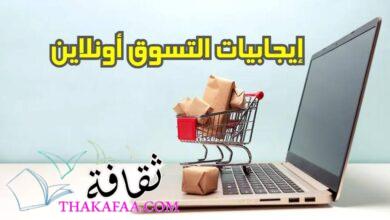 5 إيجابيات للتسوق أونلاين في عام 2023 5 إيجابيات للتسوق أونلاين في عام 2023