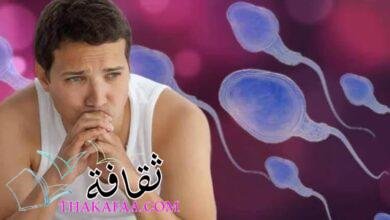 دليل كامل علاج العقم عند الرجال دليل كامل علاج العقم عند الرجال