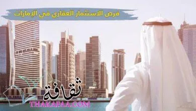 فرص الاستثمار العقاري في الإمارات في 2023 – 2024