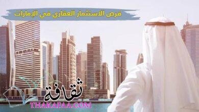 فرص الاستثمار العقاري في الإمارات في 2023 – 2024 فرص الاستثمار العقاري في الإمارات في 2023 – 2024