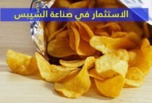 فرص الاستثمار في صناعة الشّيبس فرص الاستثمار في صناعة الشّيبس