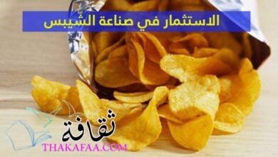 فرص الاستثمار في صناعة الشّيبس فرص الاستثمار في صناعة الشّيبس