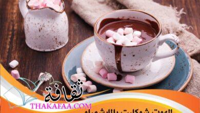 استمتع بألذ مشروب شتوي: تعرف على طريقة الهوت شوكليت بالمارشميلو استمتع بألذ مشروب شتوي: تعرف على طريقة الهوت شوكليت بالمارشميلو