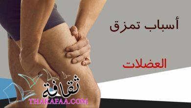 ما أسباب تمزق العضلات ما أسباب تمزق العضلات