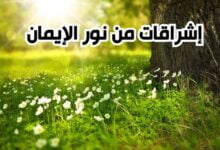 النجاح والتوفيق: إشراقات من نور الإيمان النجاح والتوفيق: إشراقات من نور الإيمان