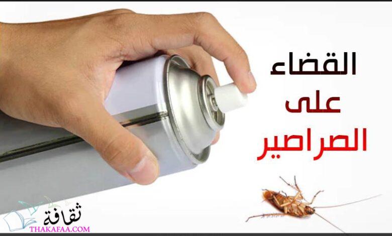 كيفية القضاء على حشرة الصراصير نهائيا وبكل سهولة كيفية القضاء على حشرة الصراصير نهائيا وبكل سهولة