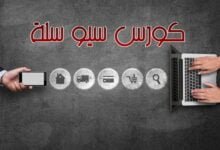 سيو سلة| تعرف على أهم 11 فائدة سيو سلة| تعرف على أهم 11 فائدة