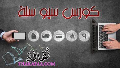 سيو سلة| تعرف على أهم 11 فائدة سيو سلة| تعرف على أهم 11 فائدة