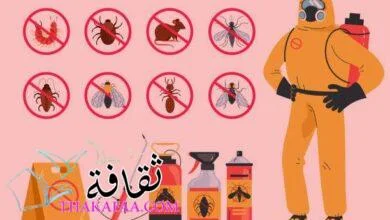 احصل على خدمات مكافحة الحشرات الاحترافية مع شركة المدير للصيانة احصل على خدمات مكافحة الحشرات الاحترافية مع شركة المدير للصيانة