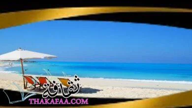 نيو ستارت سيدي عبد الرحمن