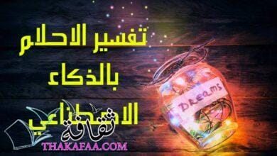 أفضل موقع لتفسير الأحلام أونلاين باستخدام الذكاء الاصطناعي أفضل موقع لتفسير الأحلام أونلاين باستخدام الذكاء الاصطناعي