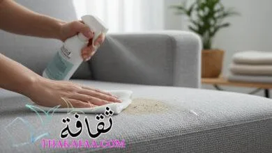 دليل العناية بكنب المنزل: من التنظيف اليومي إلى العميق