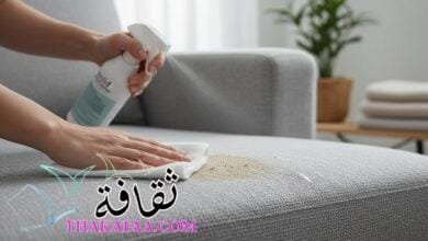 دليل العناية بكنب المنزل: من التنظيف اليومي إلى العميق دليل العناية بكنب المنزل: من التنظيف اليومي إلى العميق